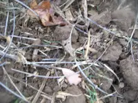 100_2194.webp