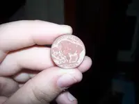 coin 011.webp