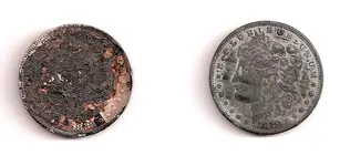 Dollar.webp