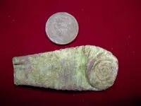 DSCN1791.webp