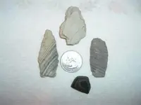 10-9 finds.webp