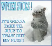 winter.webp