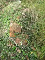 IMG_2610a.webp