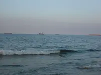 B92981.webp