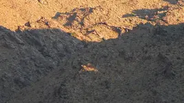 DSCN0056-eagle_edited-1.webp