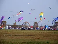 kites.webp