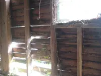 IMG_2673a.webp