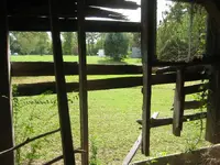 IMG_2677a.webp