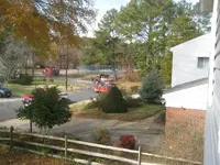 IMG_1818a.webp