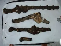 Beach Finds 022.webp