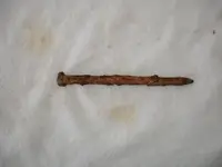 Beach Finds 035.webp