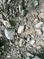 IMG_7457.webp