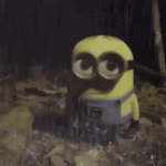 minion-rain.gif