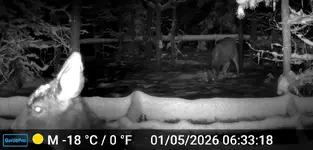Doe's Jan 5 2026.webp