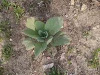 IMG_20260423_084455772.webp