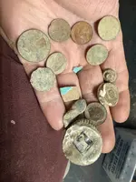 IMG_5310.webp