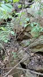 20260402_105225.webp