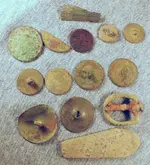 All finds April 26.webp