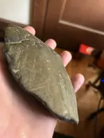 IMG_0987.webp