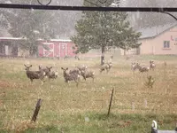 DSCF5618.webp