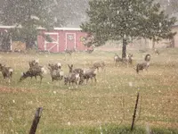 DSCF5619.webp