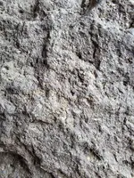 20260503_141942.webp