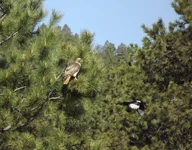 DSCF5620.webp
