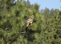 DSCF5621.webp