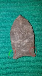 Resized_20231210_203122_3886.webp