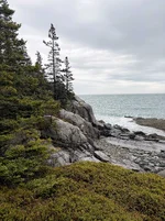 Rainy Day Rock Scramble.webp