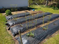 IMG_20260514_130458181.webp