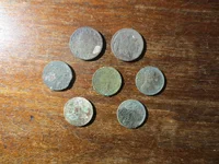 Finds 051426.webp