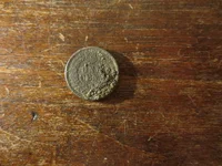 IHPFattyReverse051726.webp IHPFattyReverse051726.webp