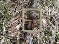 buckle 2.webp