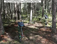 Electric Fence 5.webp