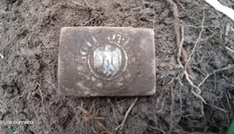 PANNAL... Tõõraste...20 mai 26....webp