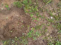 IMG_20260524_145705573.webp