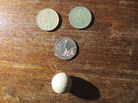 Finds Obverse 052826.webp