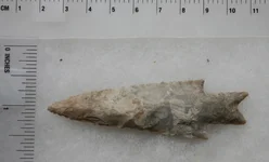 TX1383 b.webp