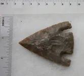 TX1387 b.webp
