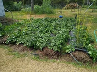 IMG_20260608_155736971.webp