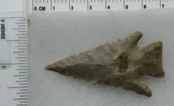 TX1396 b.webp