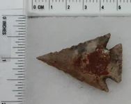TX1398 b.webp