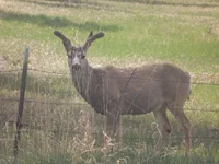 DSCF5624.webp