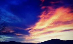 0613261443a_Film1-1.webp