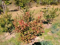 IMG_20240928_135958560.webp