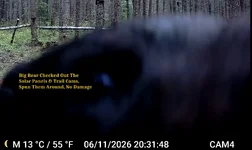 Big Bear 4.webp
