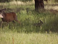DSCF5647.webp