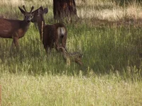 DSCF5648.webp