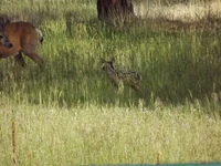 DSCF5649.webp